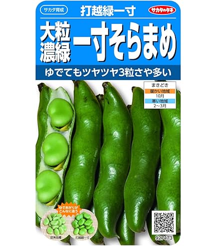 Amazon | サカタのタネ ソラマメ 一寸そら豆 | 野菜
